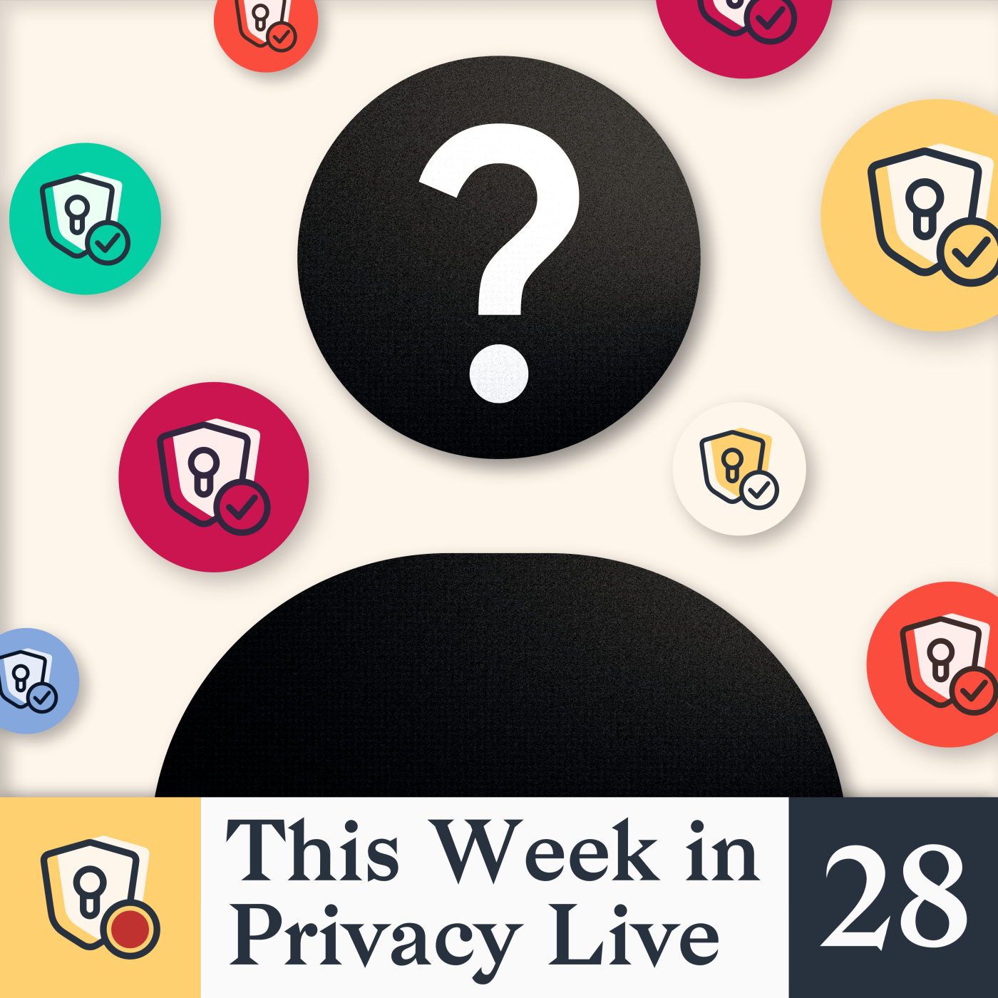 We've Hired Someone New!｜This Week in Privacy #28 (Nov 21, 2025)